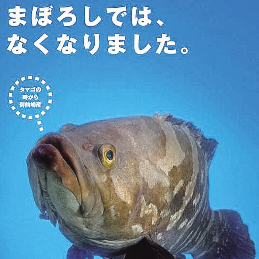 ツアーズ