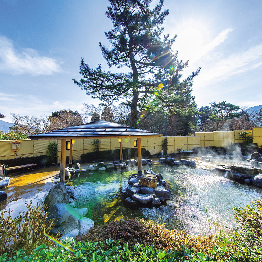 6/20（土）出発【神奈川：小田原＆箱根の旅】あじさい咲く小田原城を観覧し、箱根ホテル小涌園でランチビュッフェと温泉入浴♪