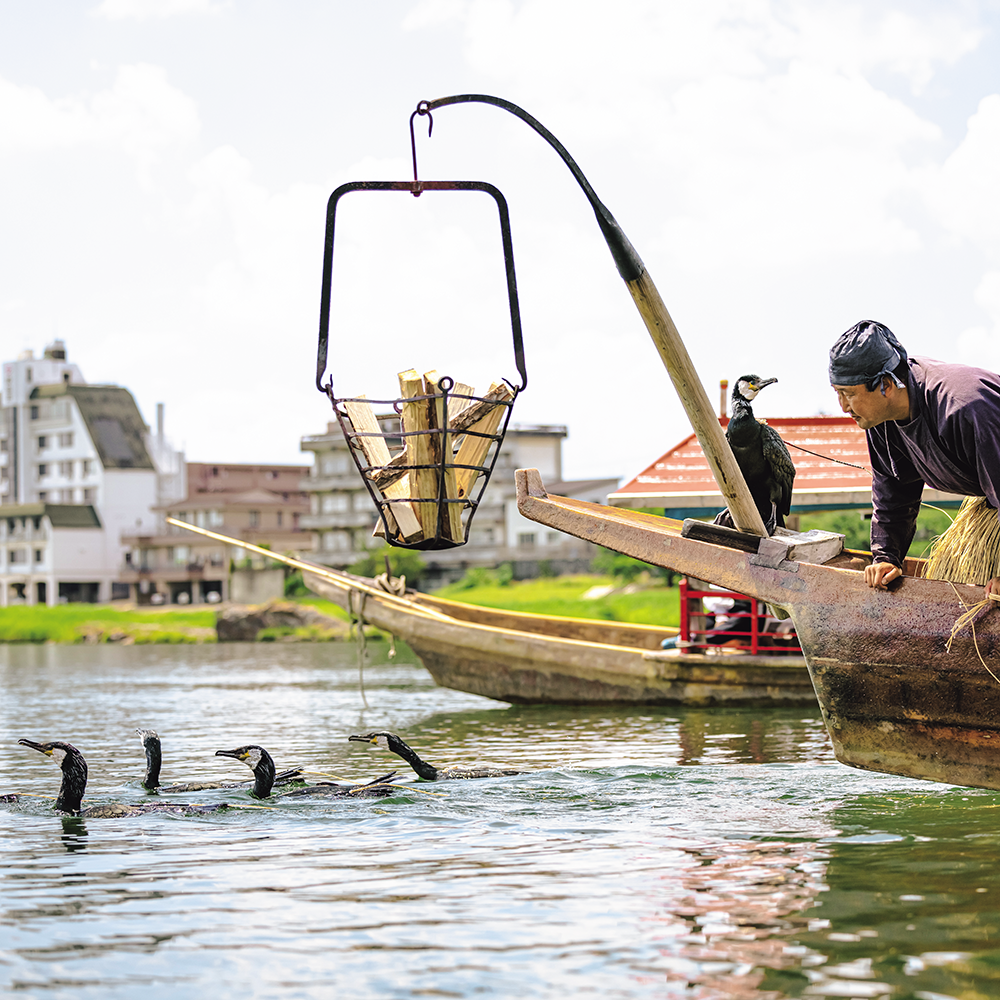 7/4（土）出発【愛知：犬山の旅】日本の伝統漁法、鵜飼を観覧船から見物し、犬山城下町を散策♪歴史を楽しむ旅