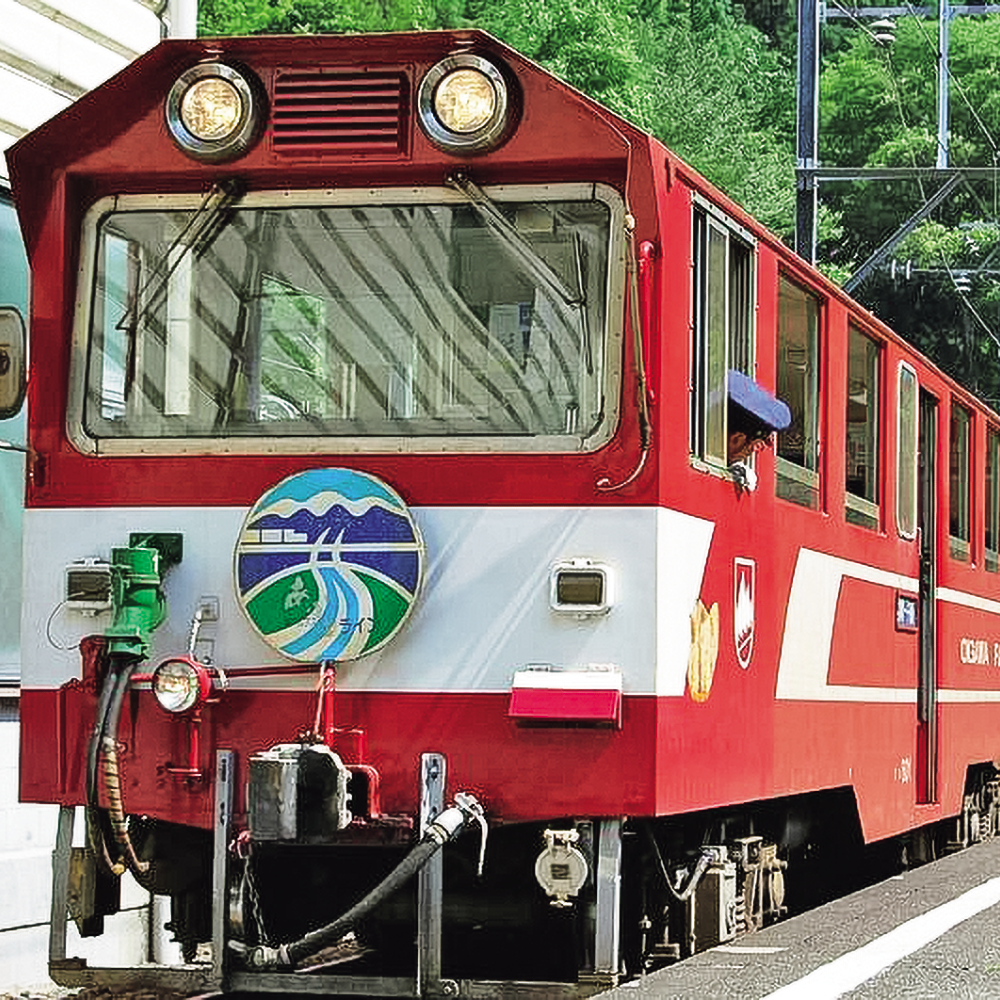11/23（祝・月）出発【静岡：奥大井の旅】秘境「奥大井湖上駅」を散策し、アプト式トロッコ列車に乗る旅♪ランチはホテルバイキング!
