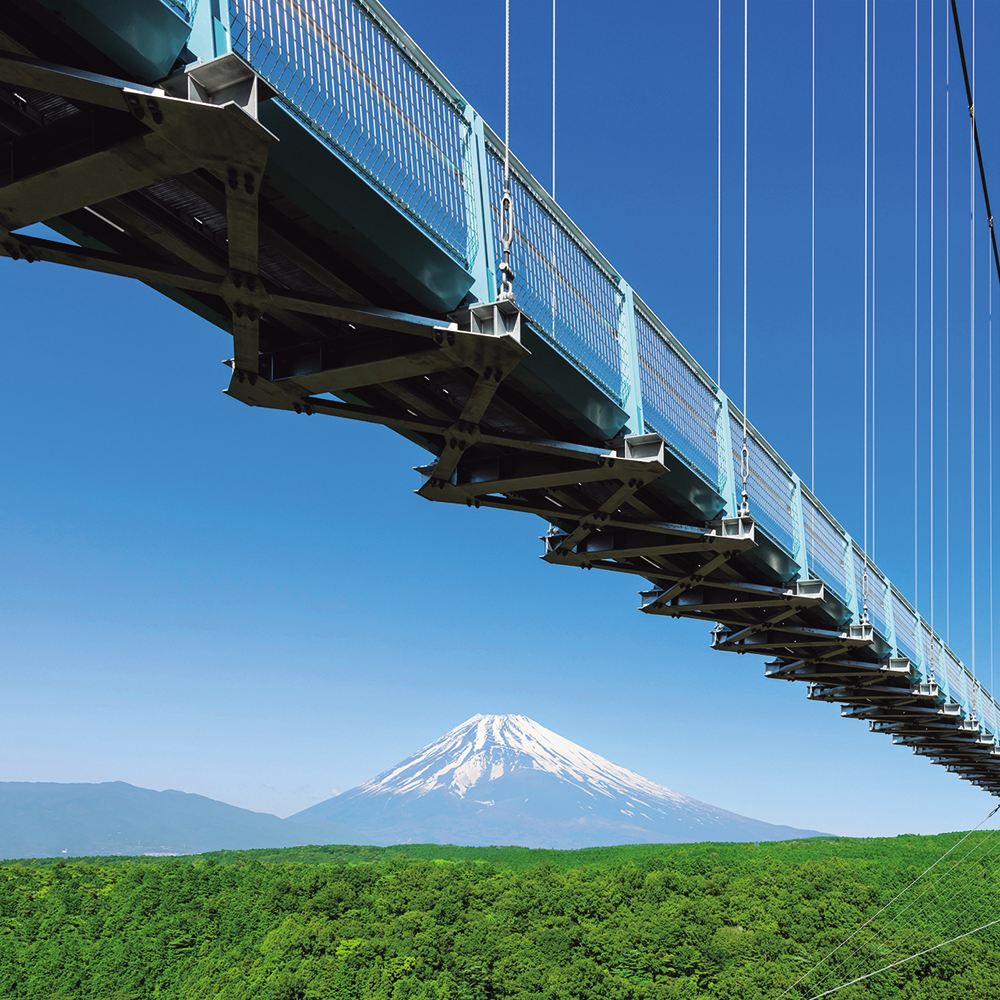 12/6（日）出発【静岡：三島 & 富士の旅】三島スカイウォークで絶景を楽しみ、ランチは浜焼き食べ放題! 夜景列車で夜の気配を感じる旅